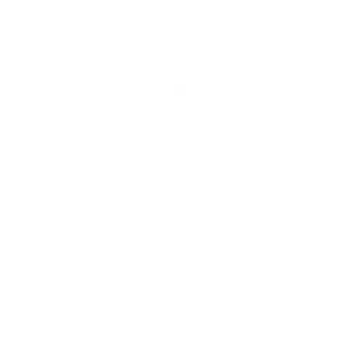 Boiler